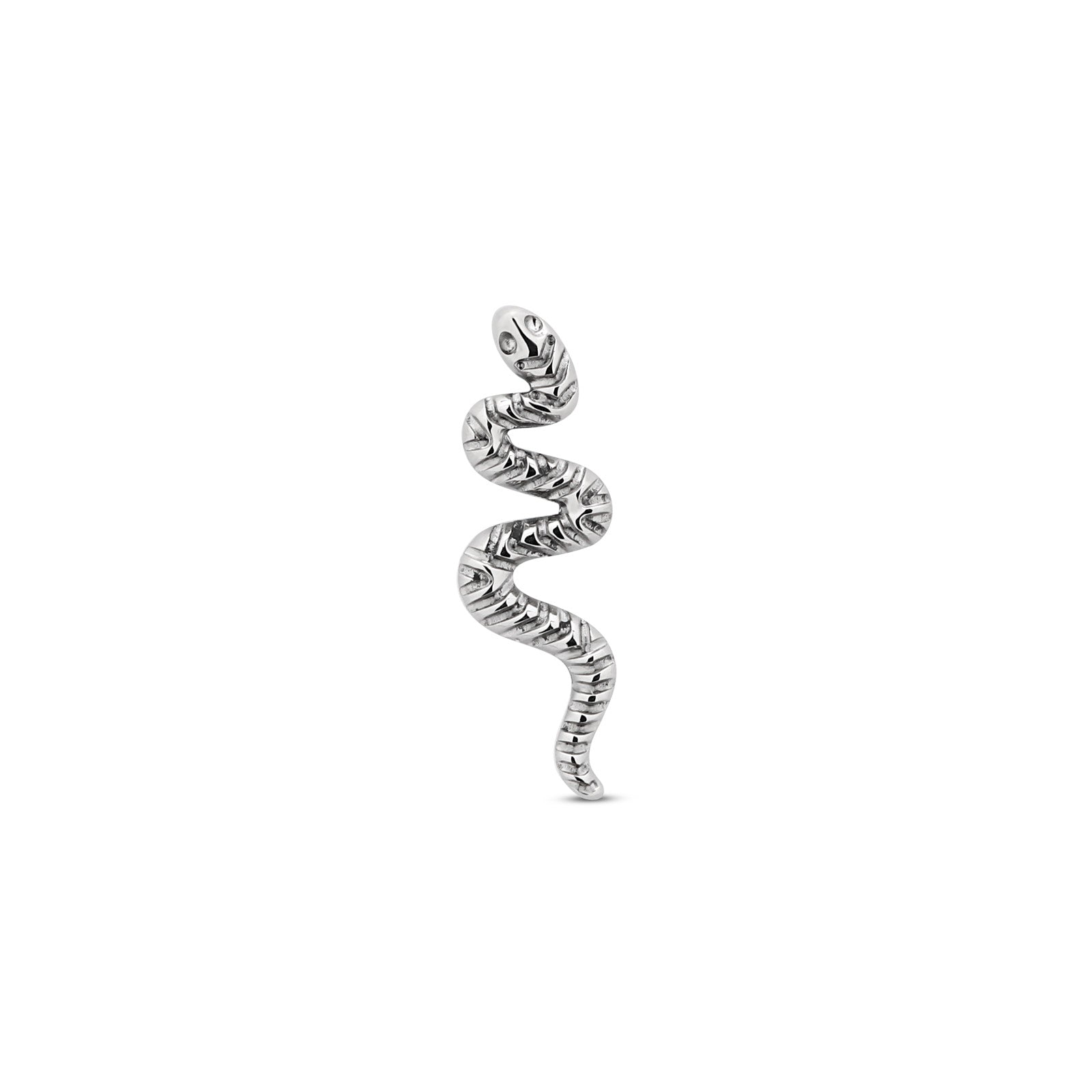 Snake Flatback