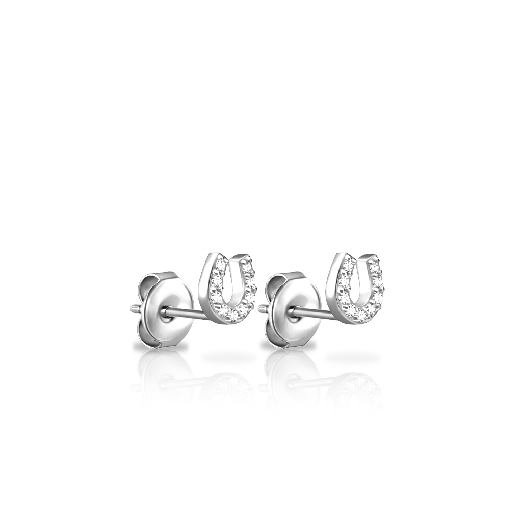Horseshoe Earrings - Pair