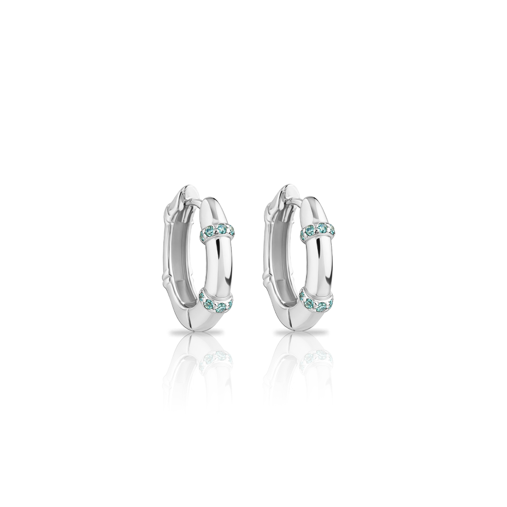 Surgical Steel Orbit Earrings - Pair