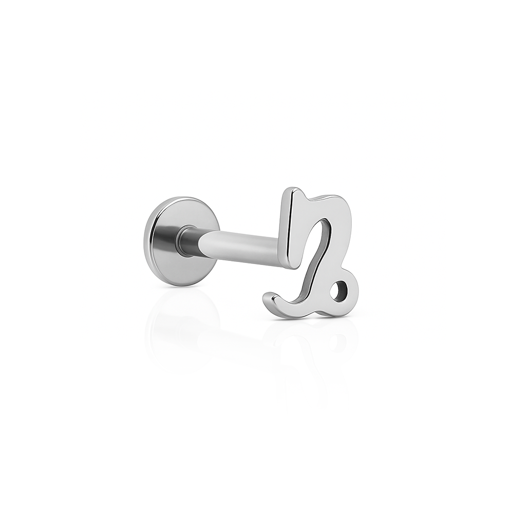 Capricorn Star Sign Flatback