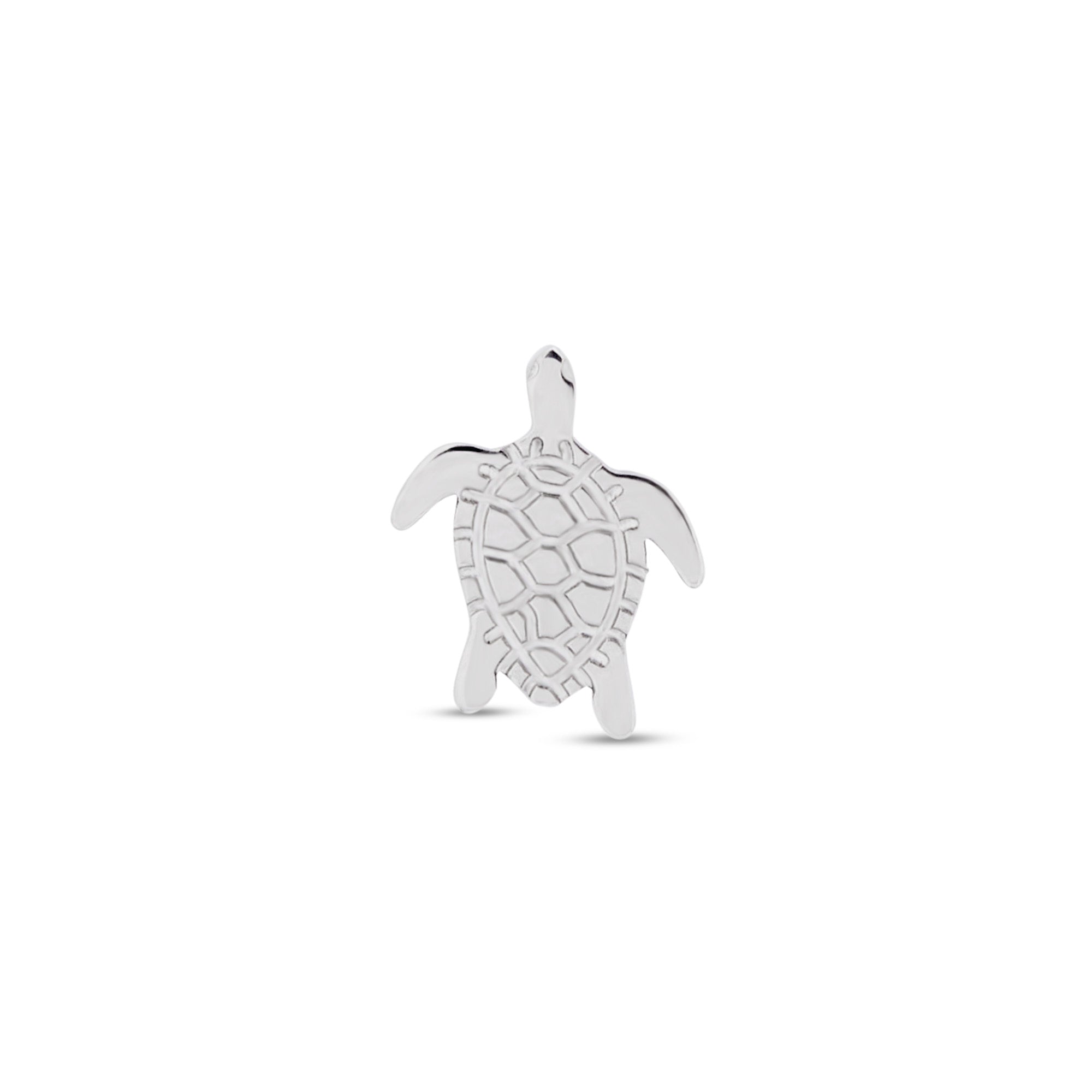 Turtle Flatback