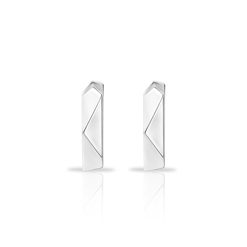 Surgical Steel Geo Hoop Earrings - Pair