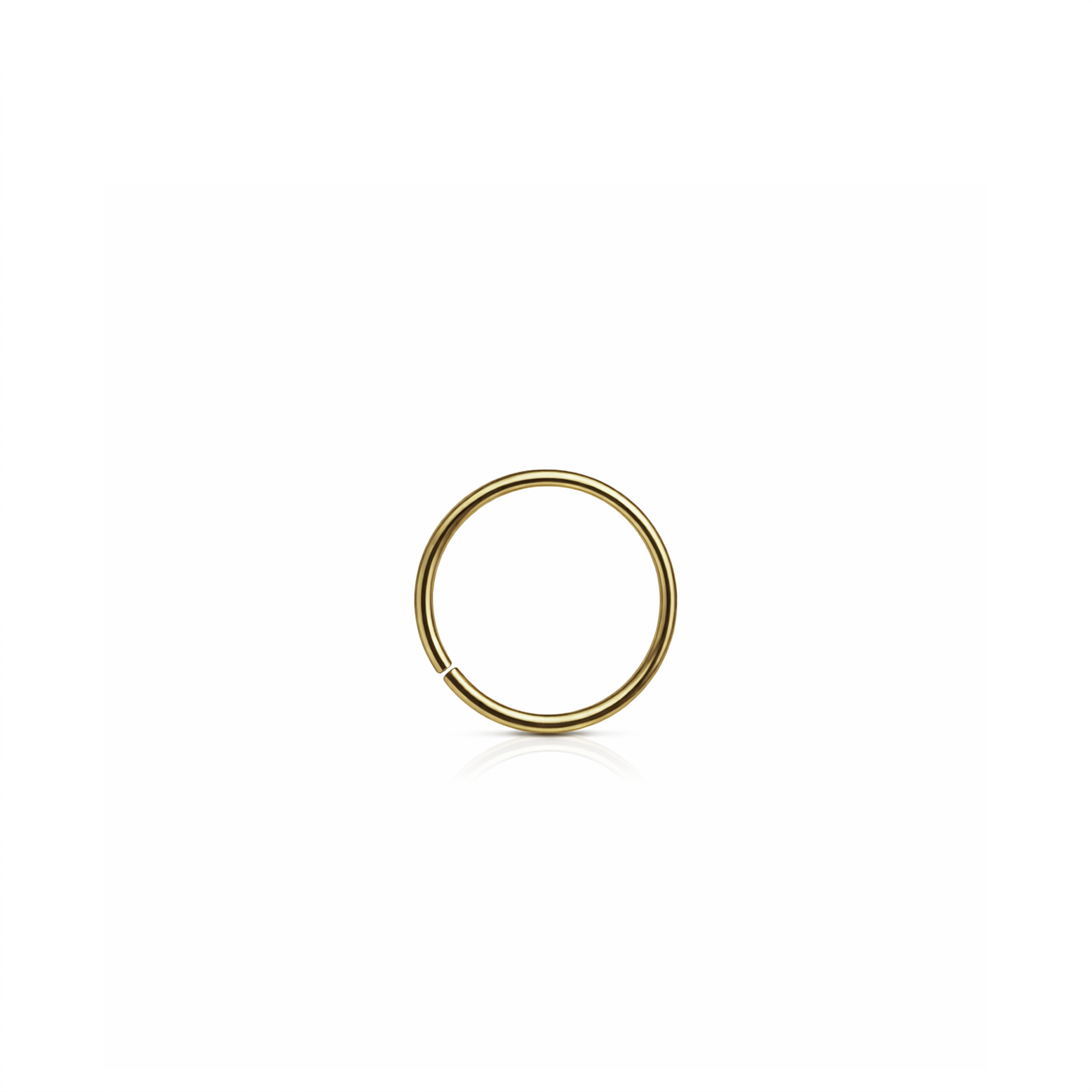 Zircon Gold Continuous Nose Ring
