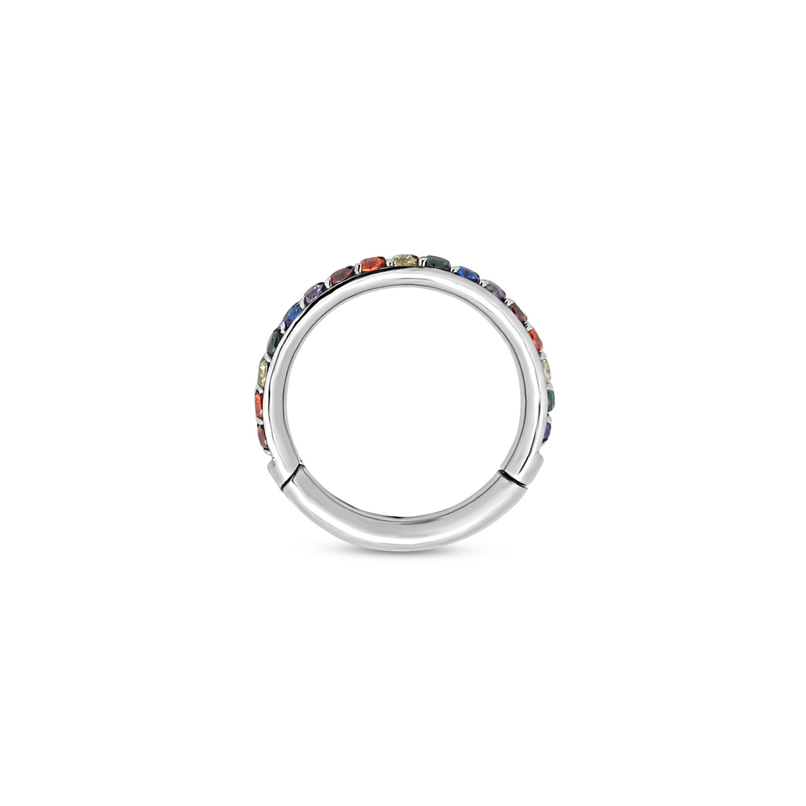 Titanium Multi Colour Jewelled Hinged Segment