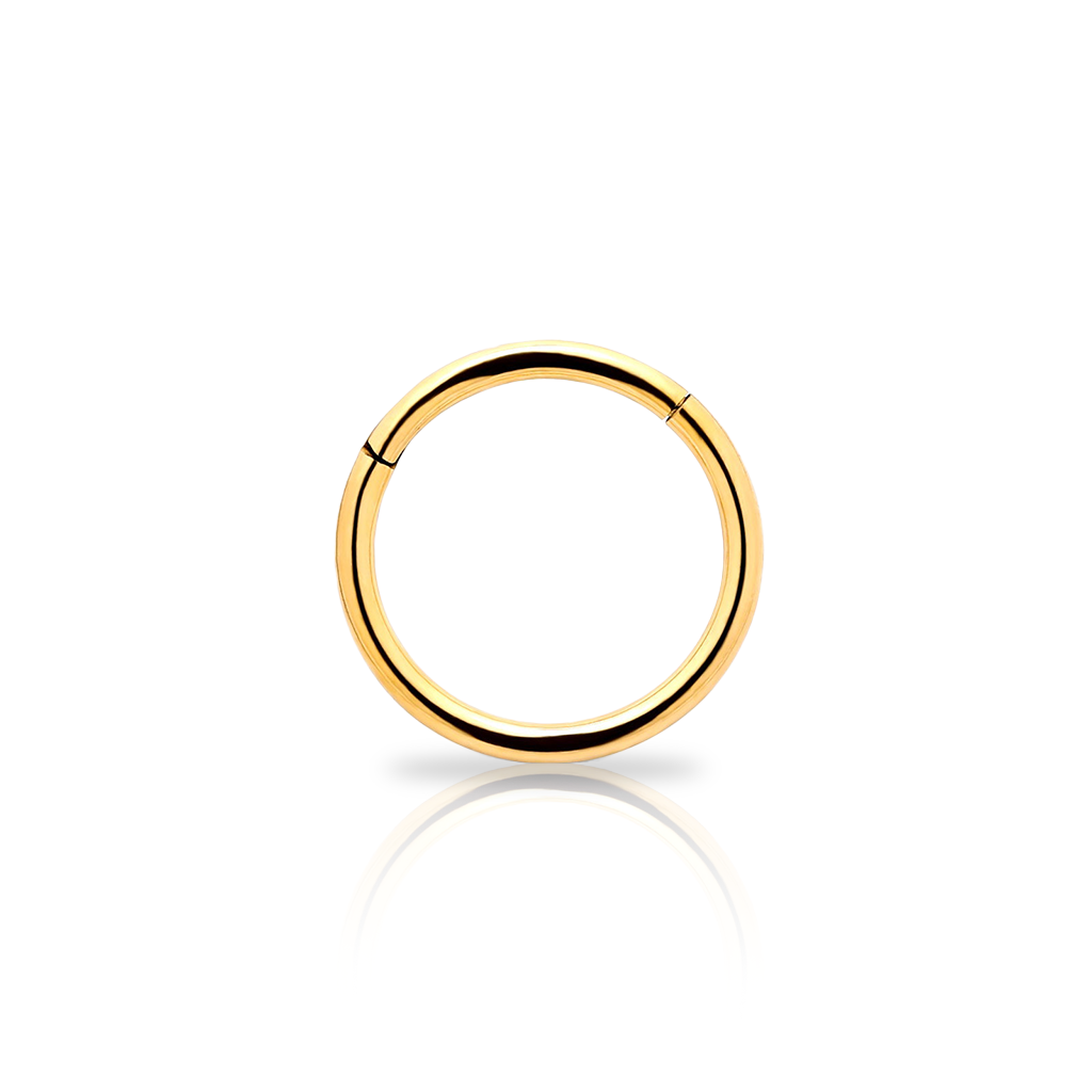 18k V-Gold Titanium Hinged Segment Ring