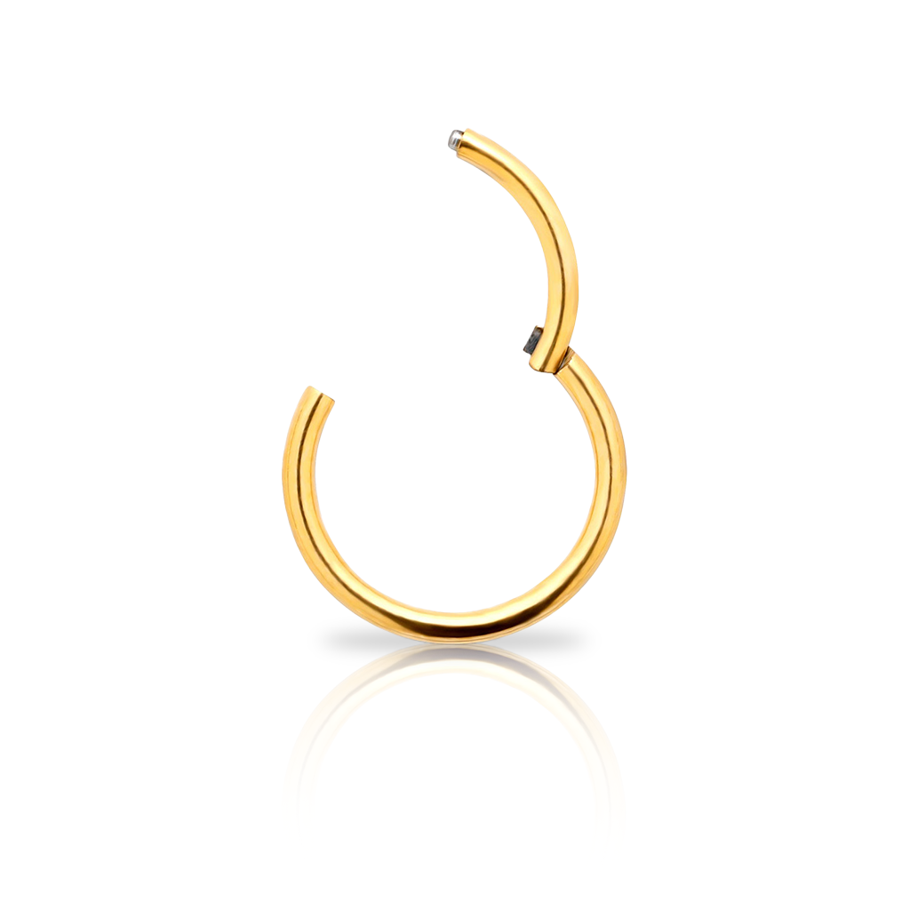 18k V-Gold Titanium Hinged Segment Ring