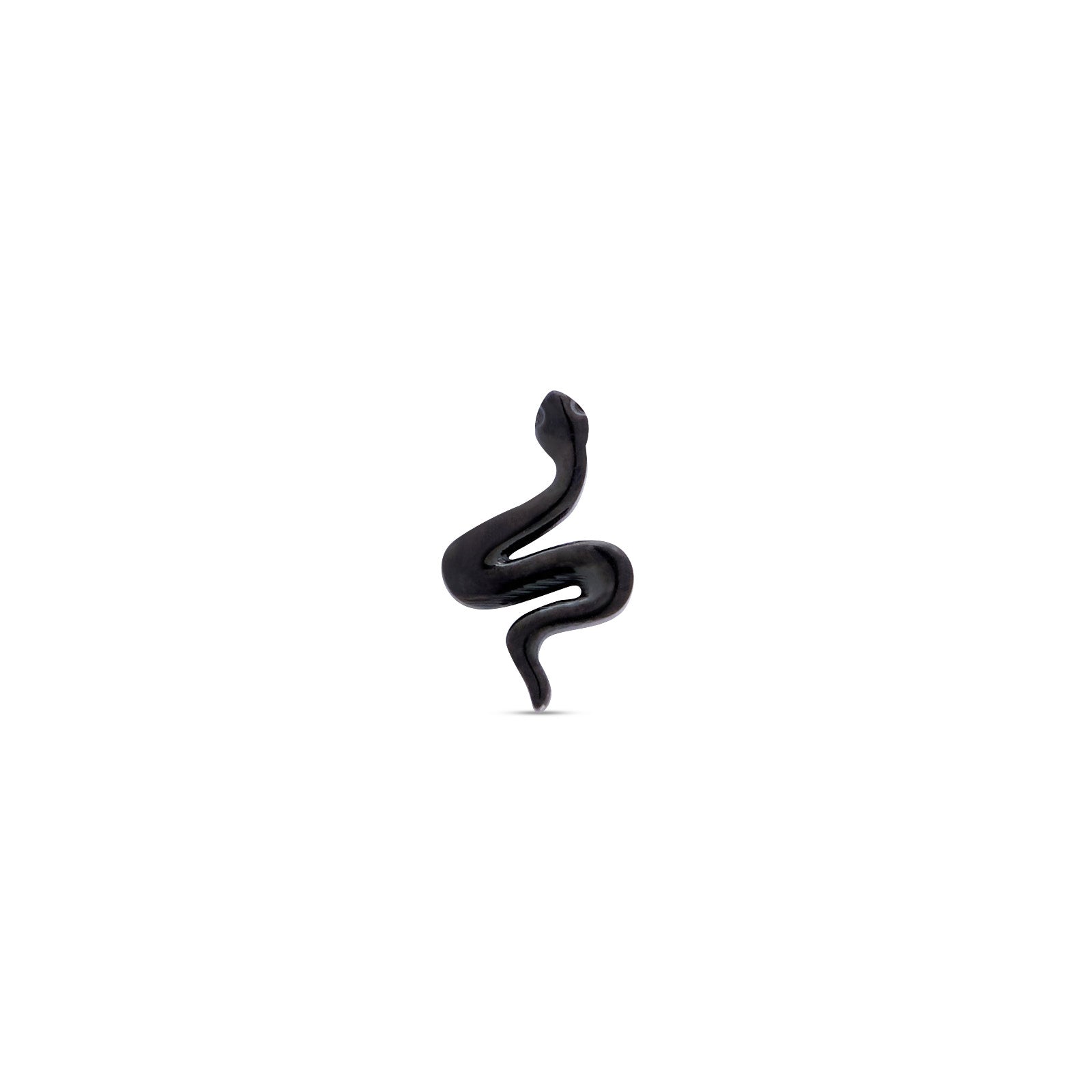 Blackline Smooth Snake Flatback