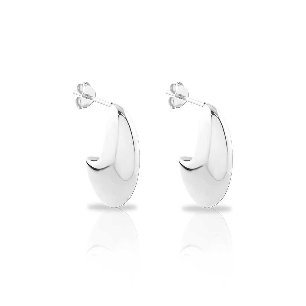 Surgical Steel Arc Drop Earrings - Pair