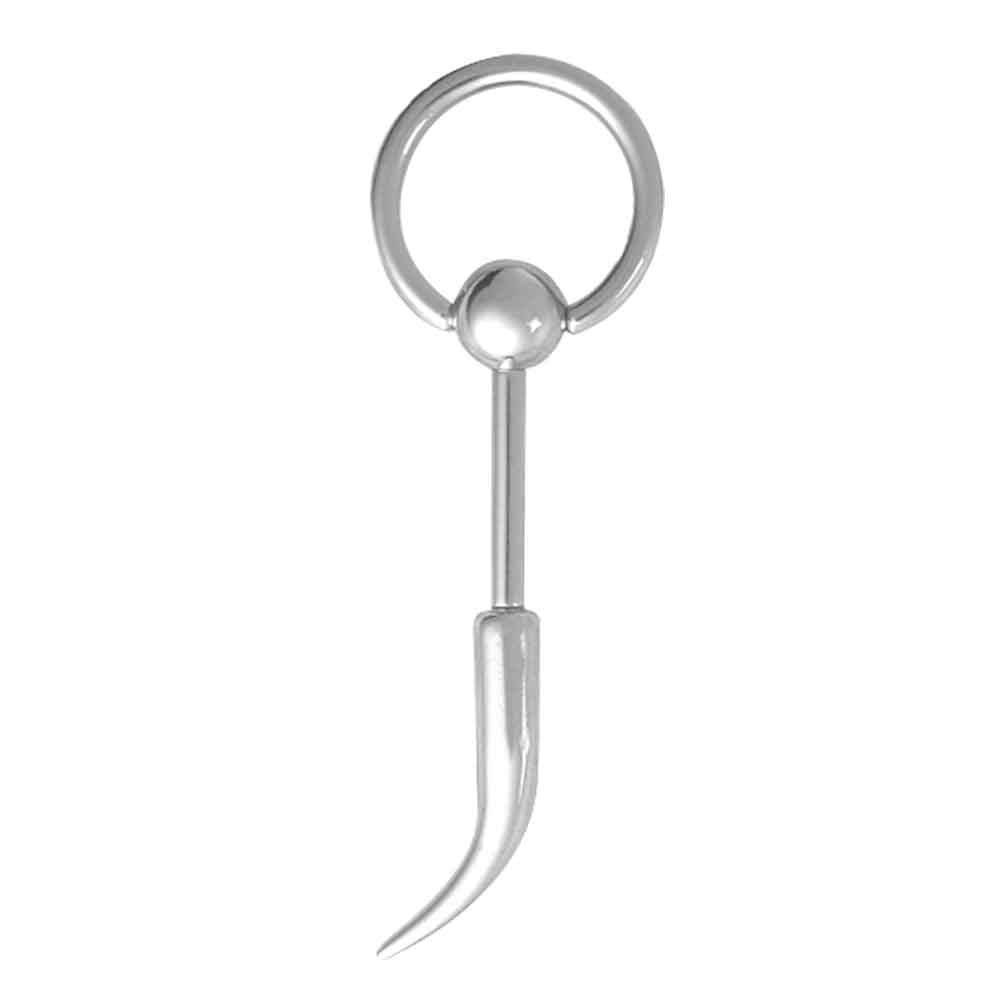 Doorknocker with Claw