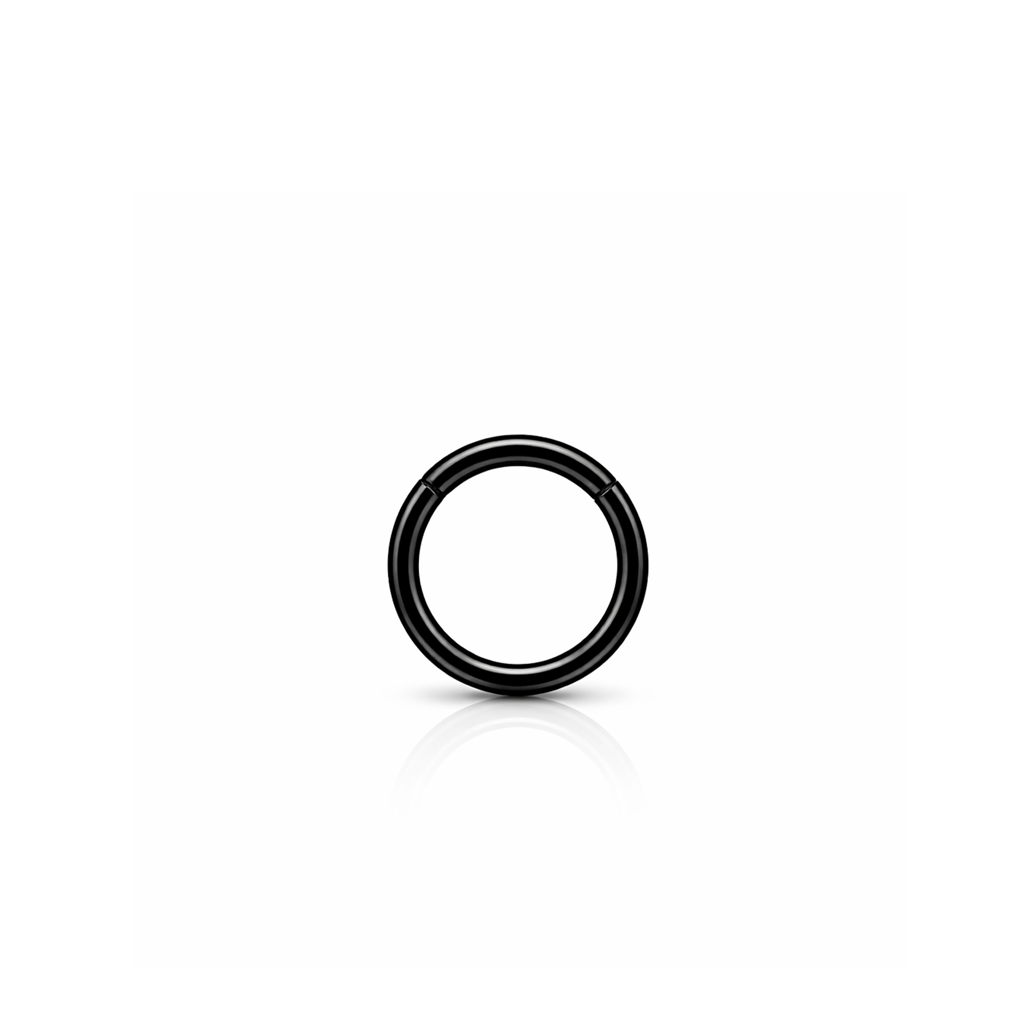 Black Steel Hinged Segment Ring