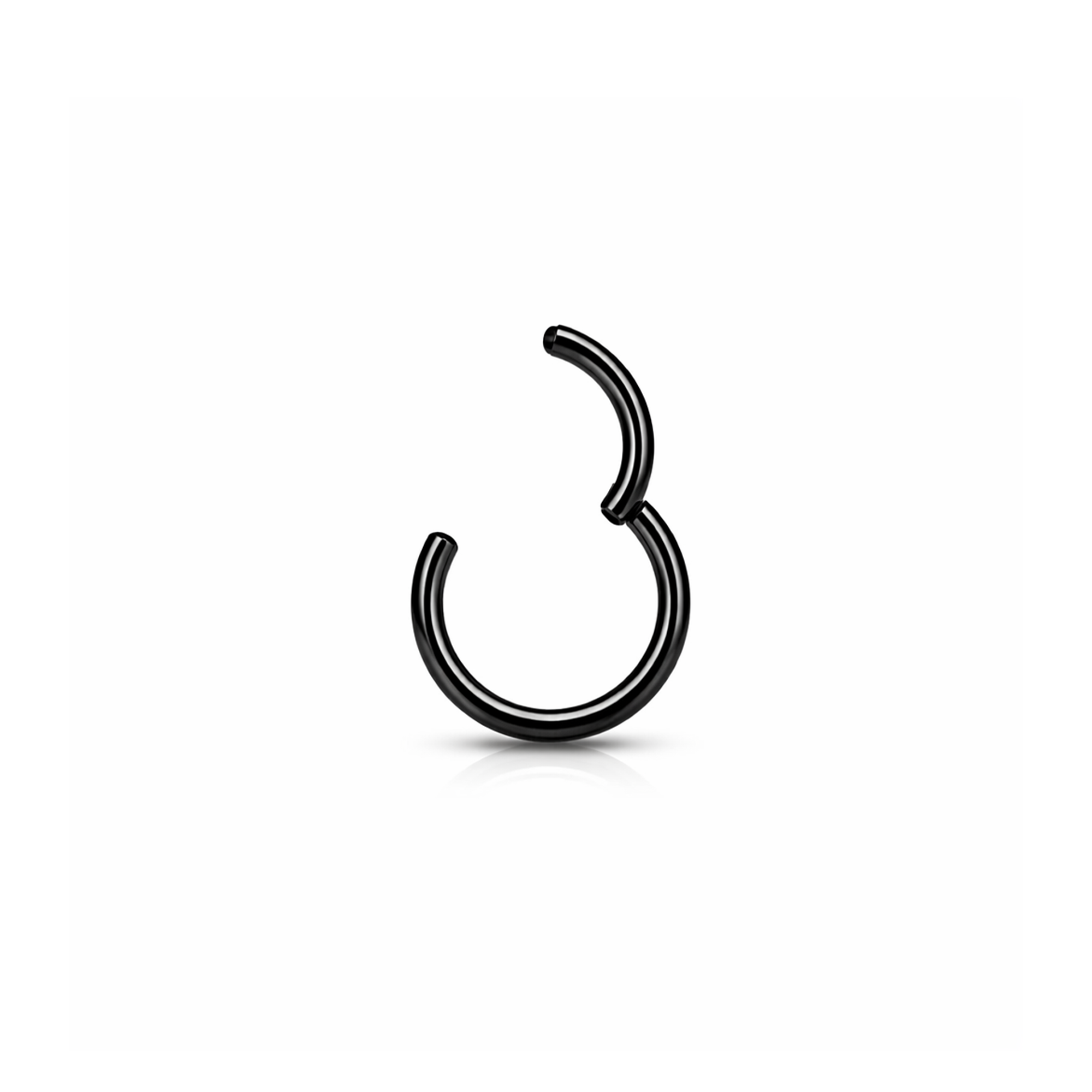 Black Steel Hinged Segment Ring