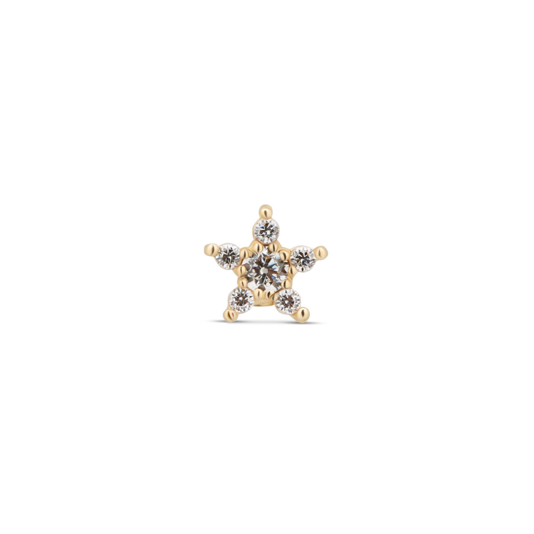 Lab Grown Diamond - 14kt Gold Flatback - Jewelled Star