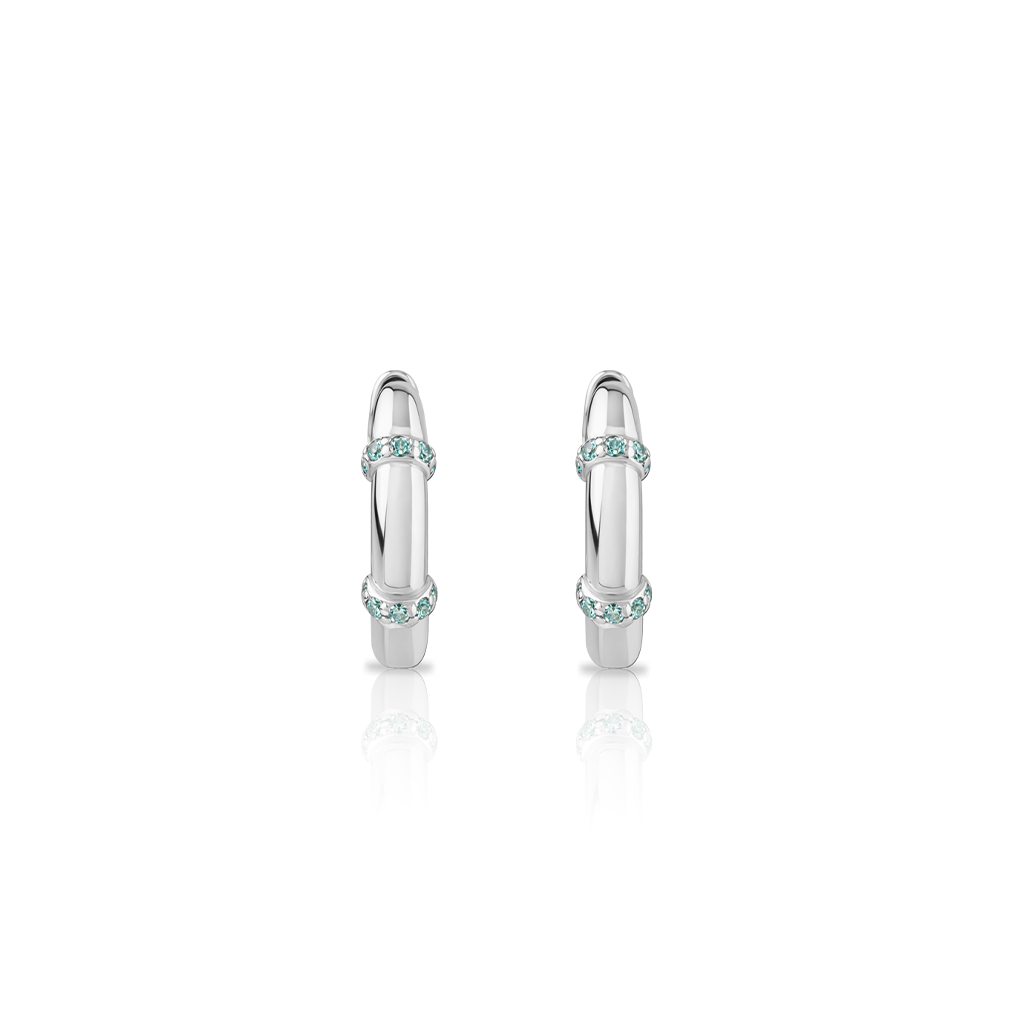 Surgical Steel Orbit Earrings - Pair