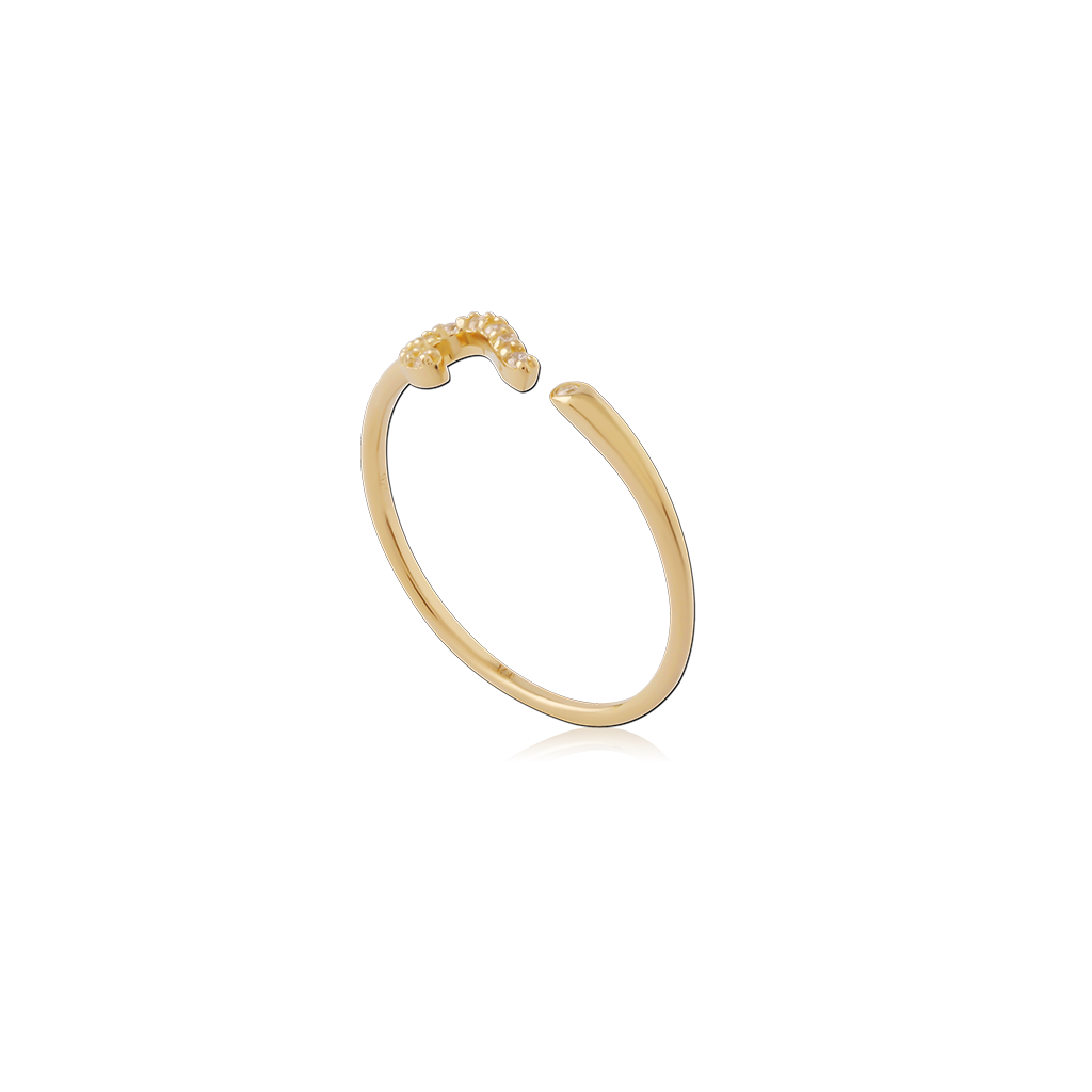 Question - 14kt Gold Vermeil Ring