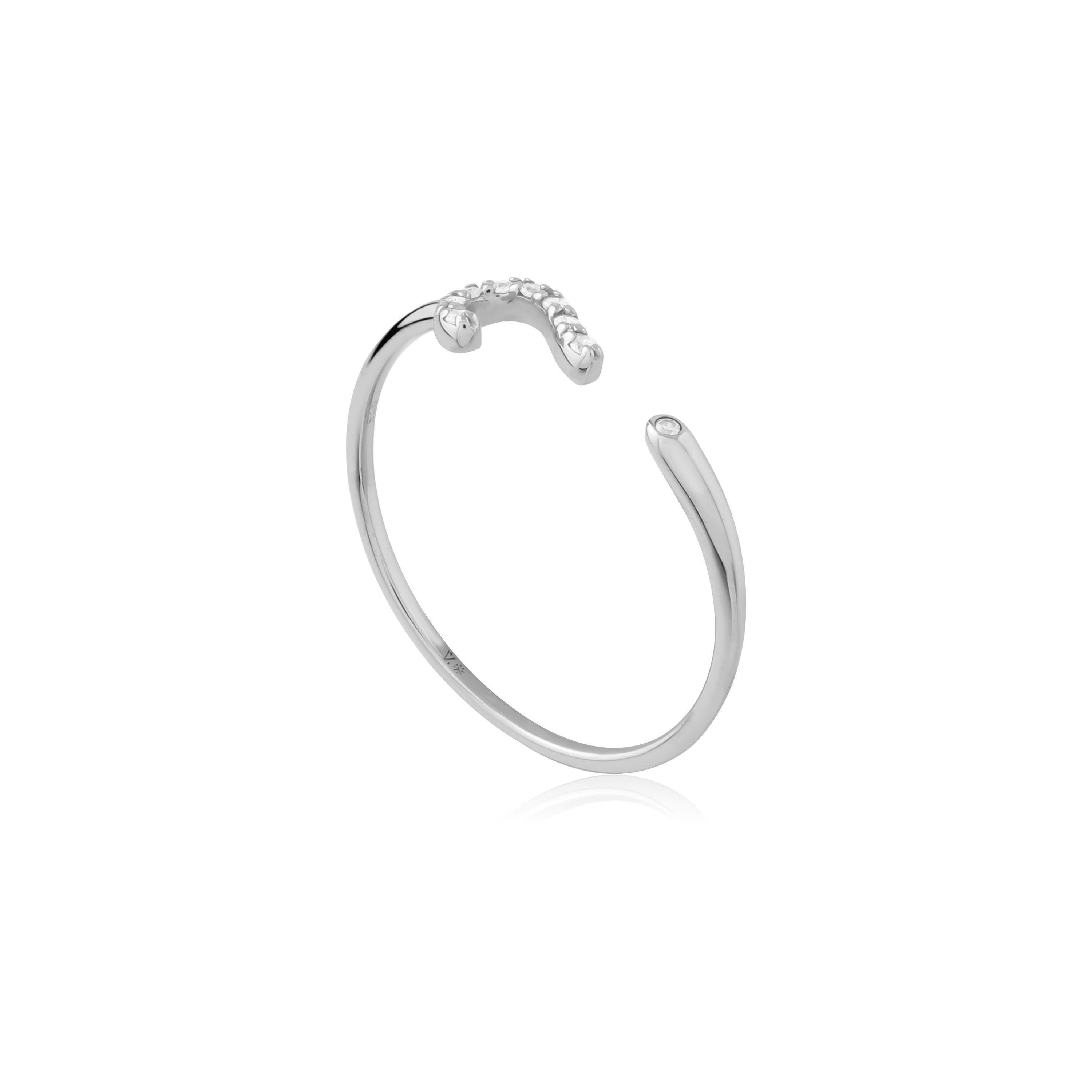 Question - Sterling Silver Ring
