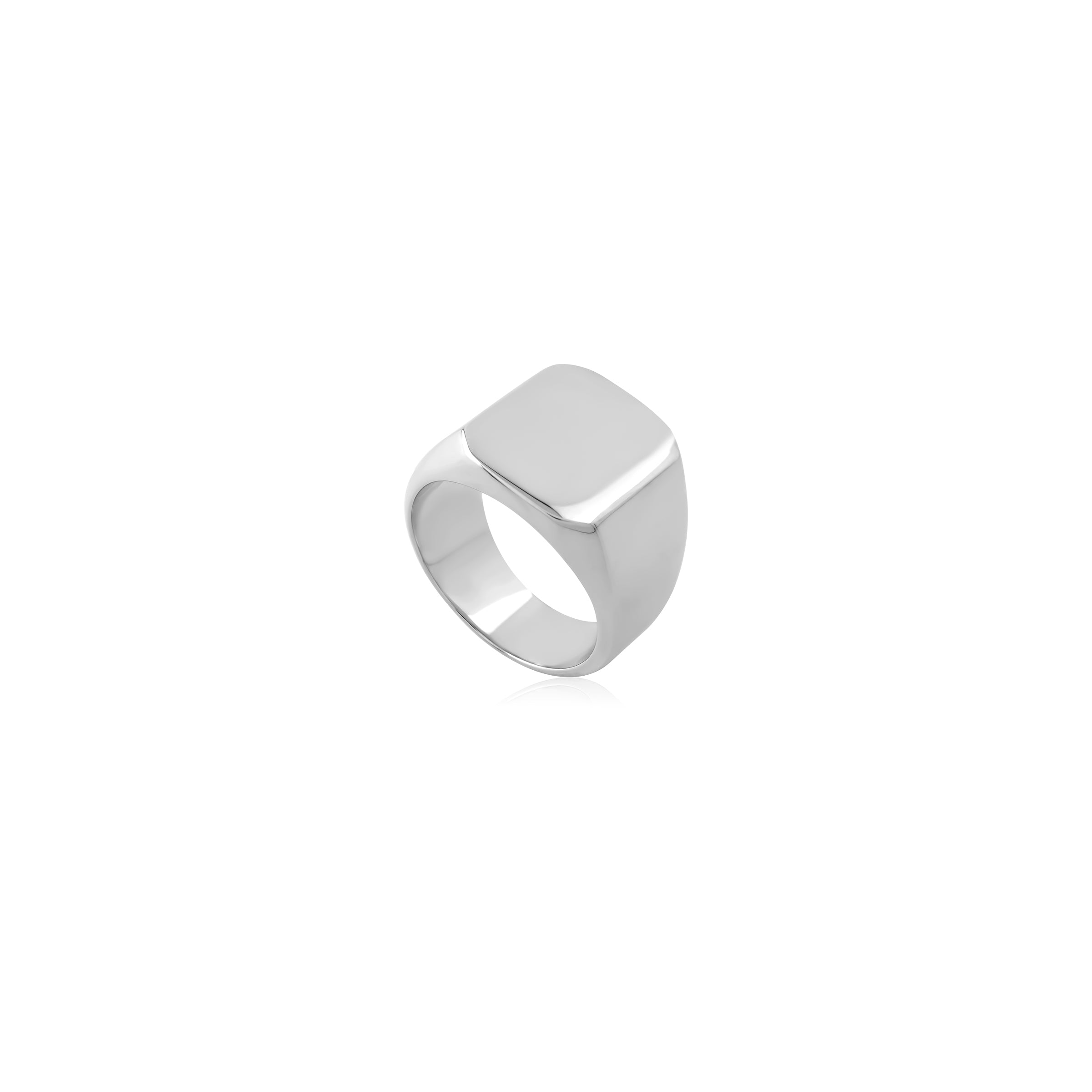 Steel Ring - Signet