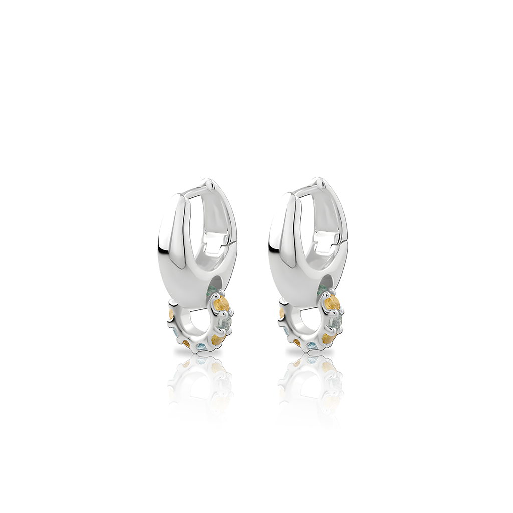 Surgical Steel Solara Earrings - Pair
