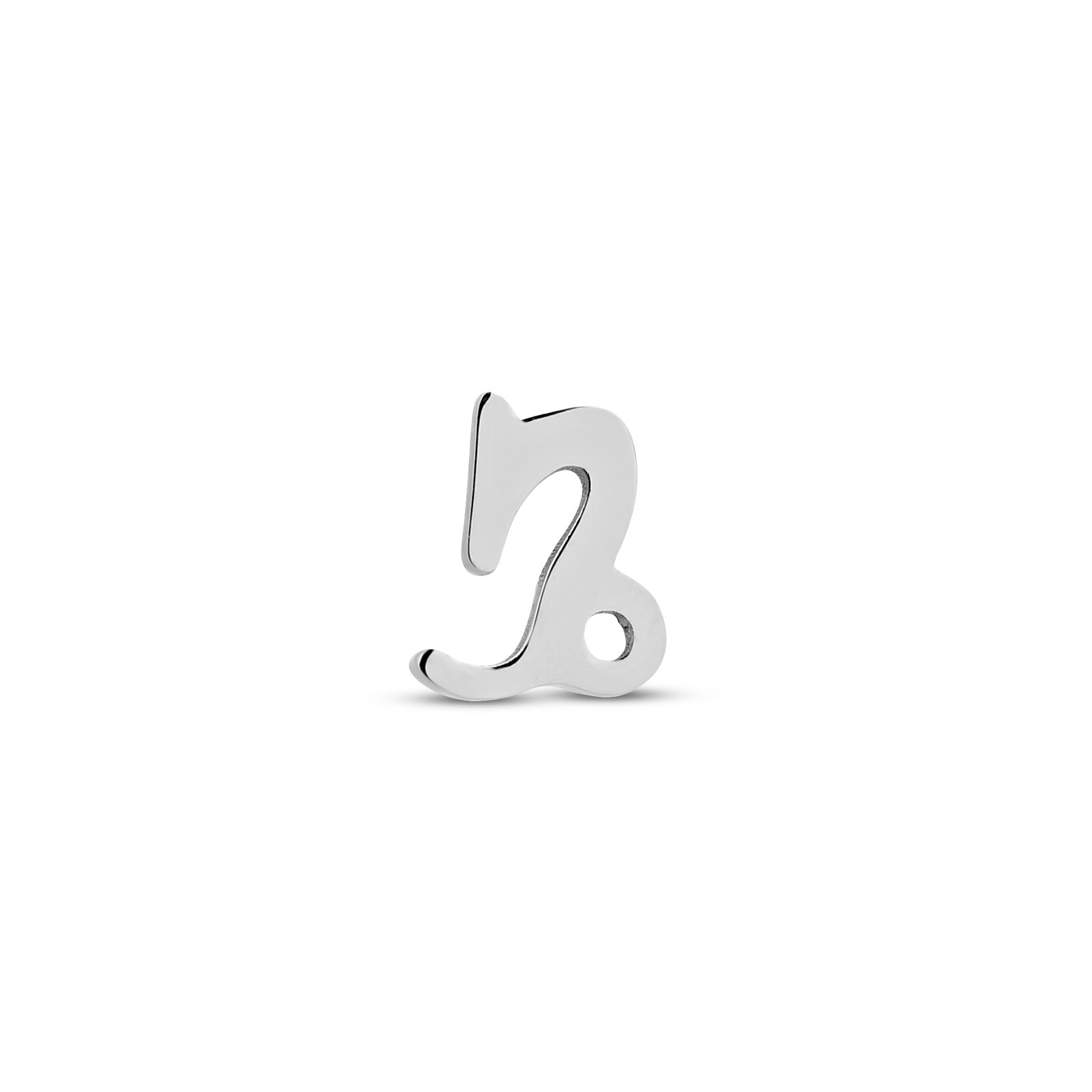 Capricorn Star Sign Flatback