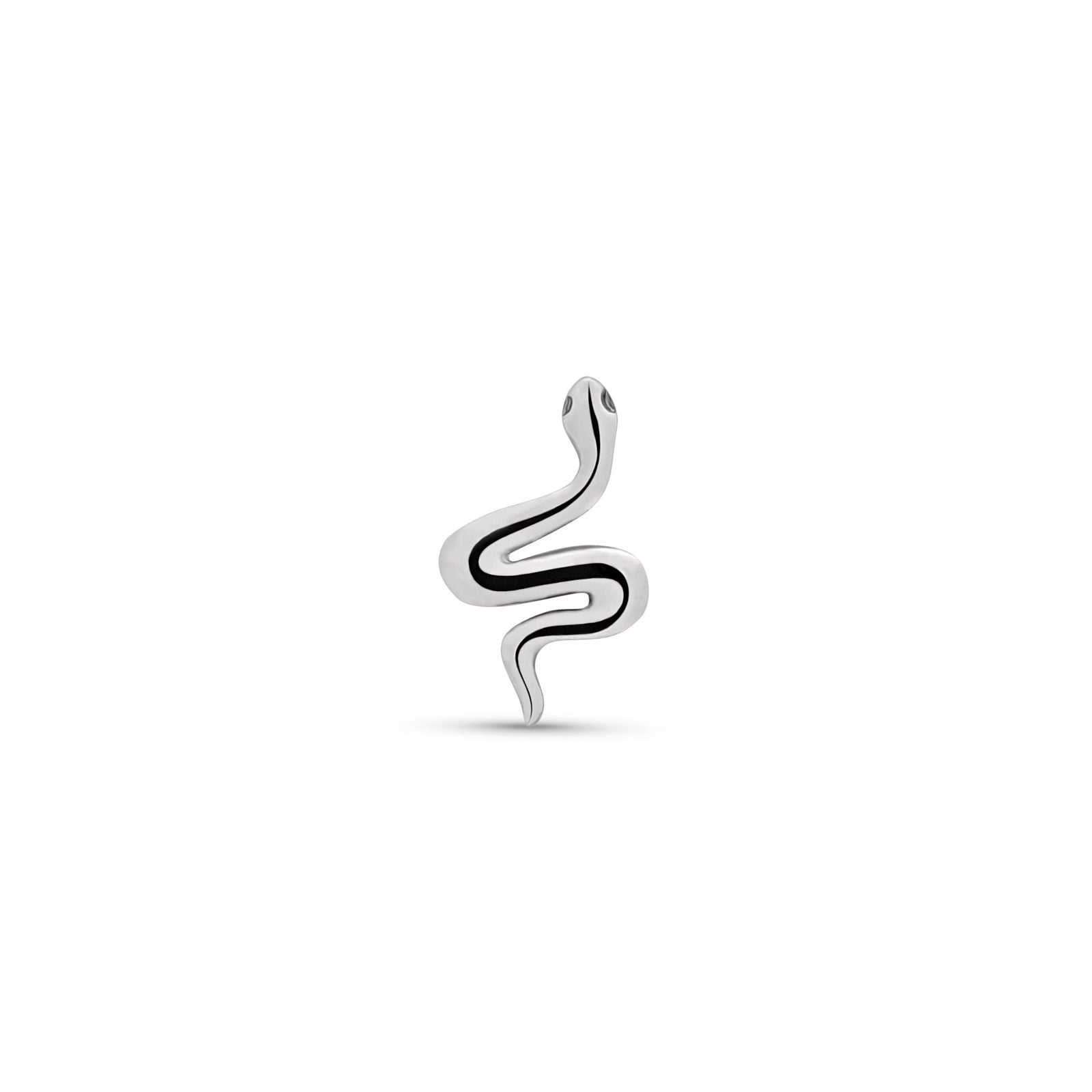Smooth Snake Flatback