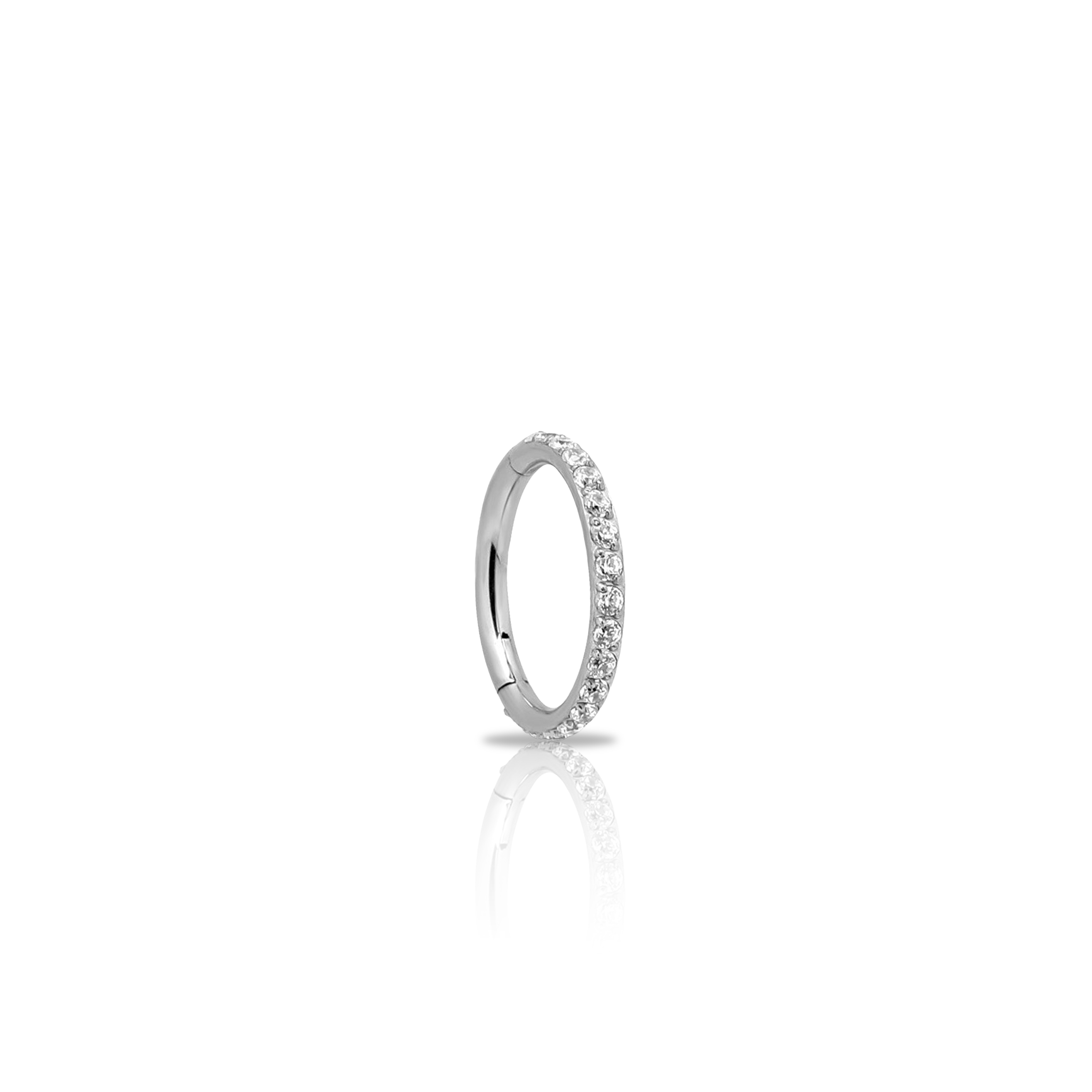 Titanium Jewelled Hinged Segment