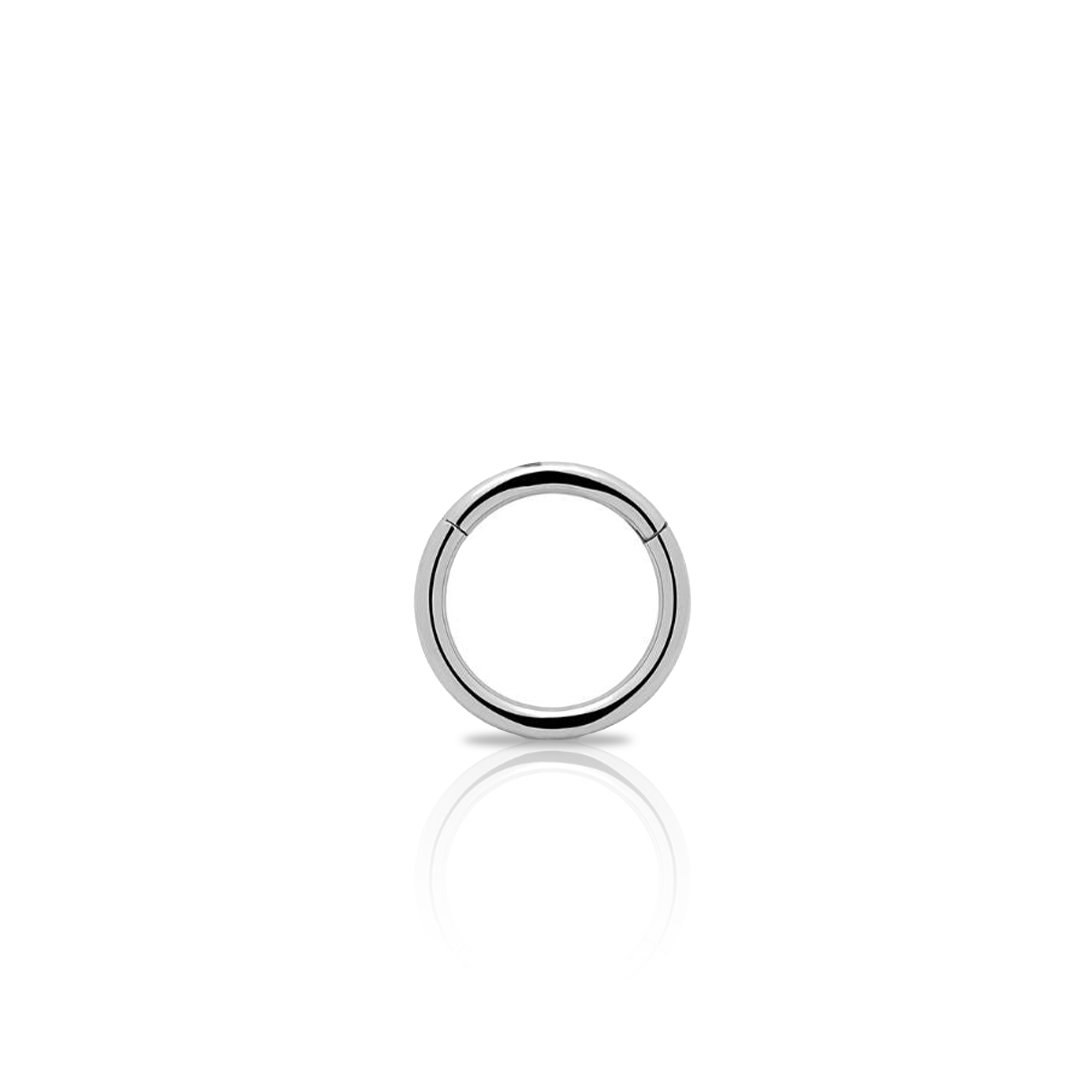 Titanium Hinged Segment Ring