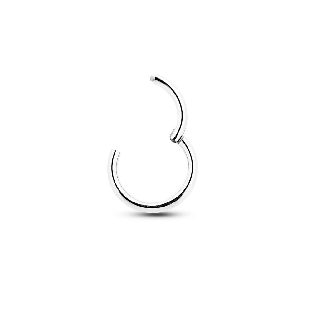 V-Platinum Hinged Segment Nose Ring
