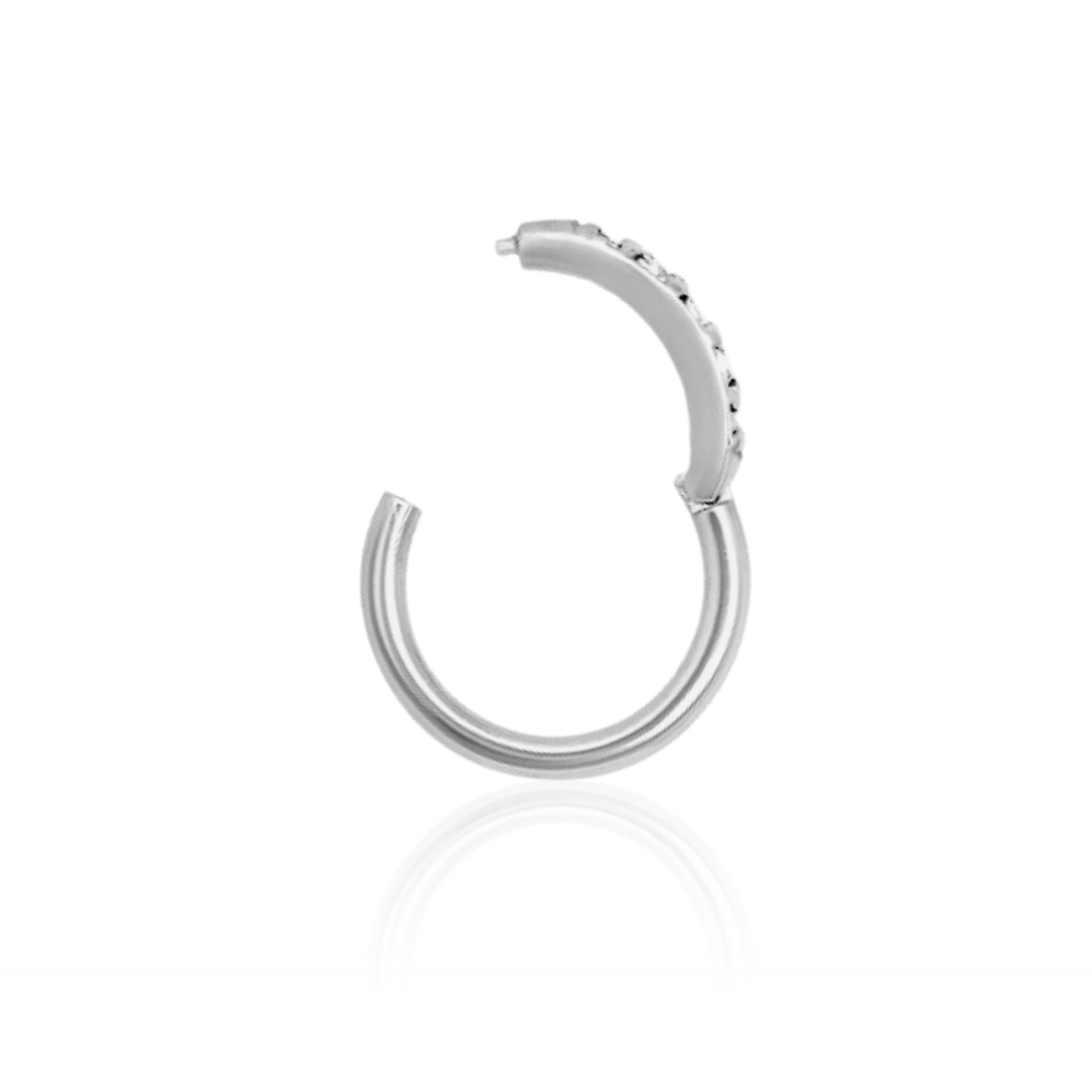 Jewelled Hinged Segment