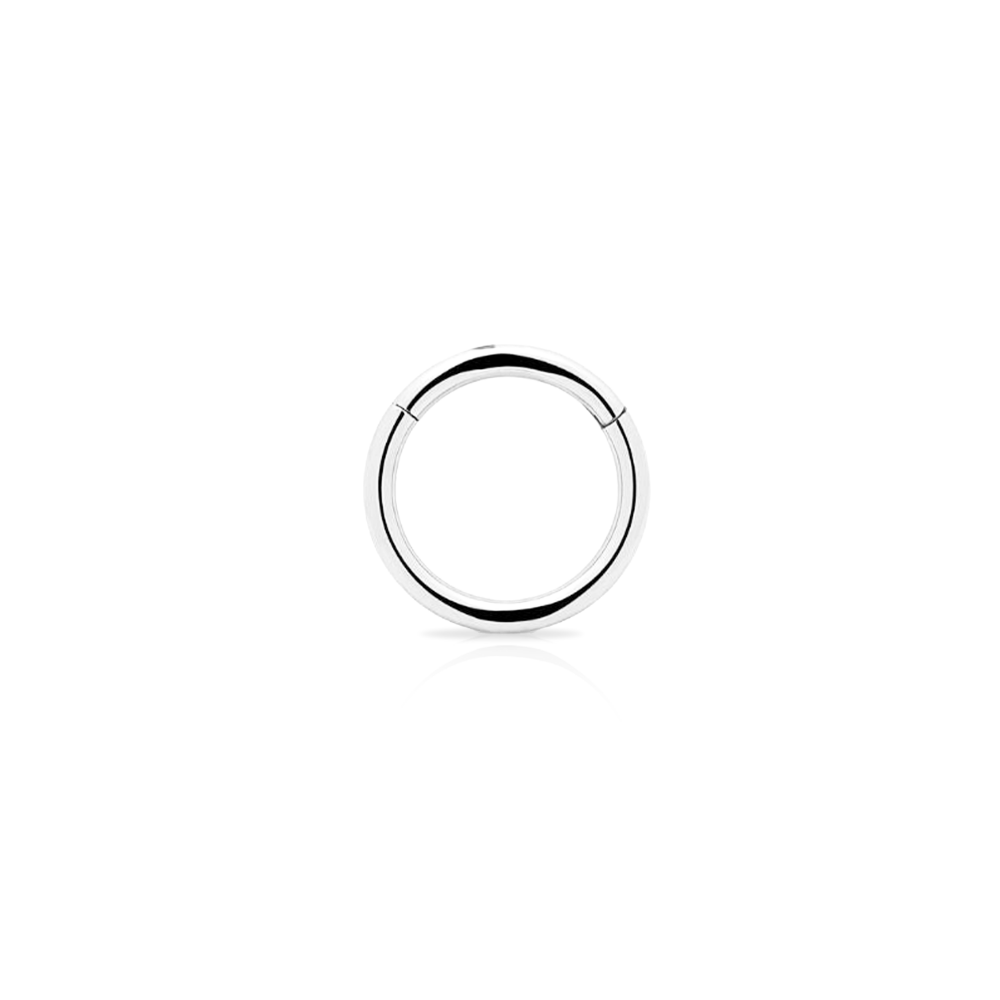 V-Platinum Hinged Segment Nose Ring