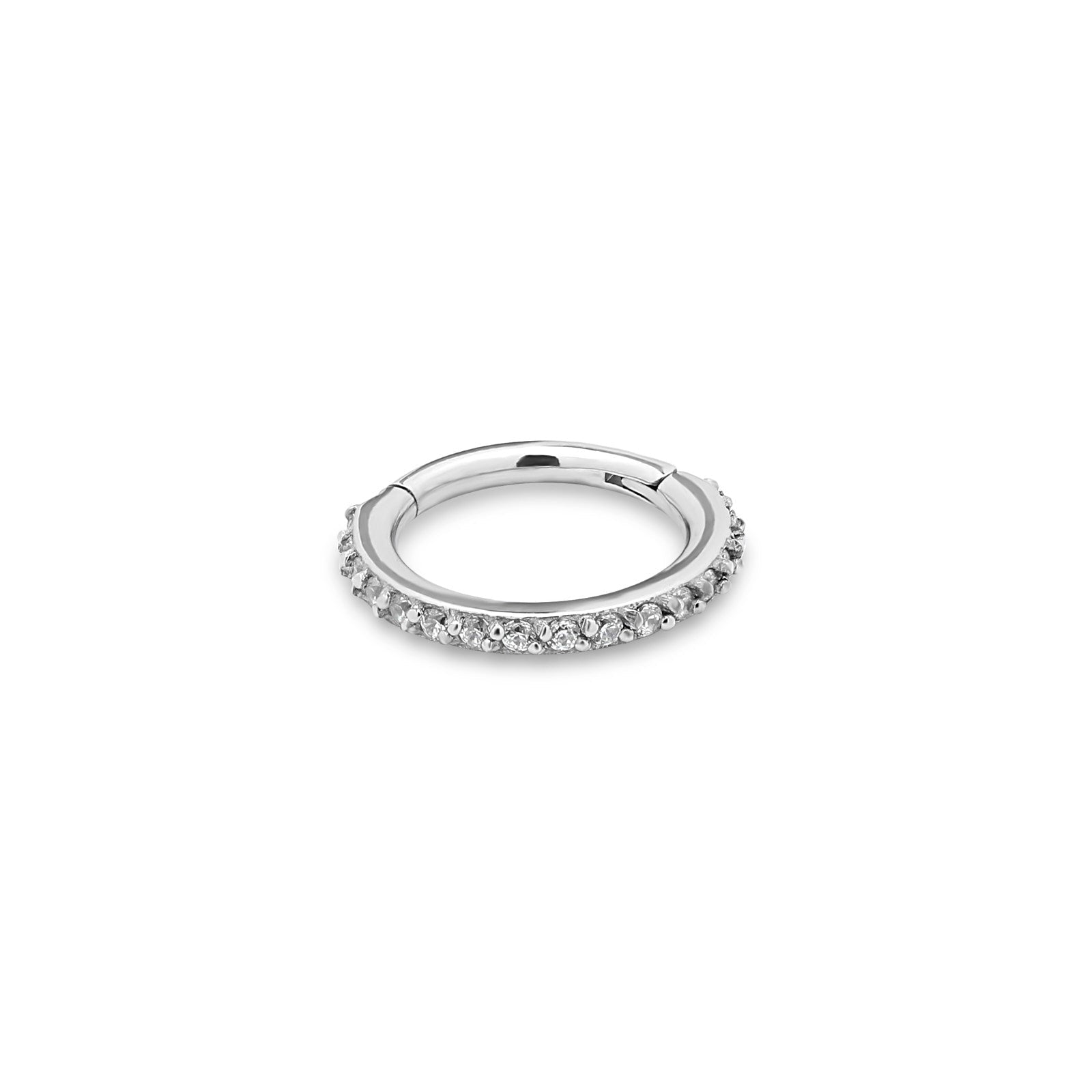 Titanium Jewelled Hinged Segment